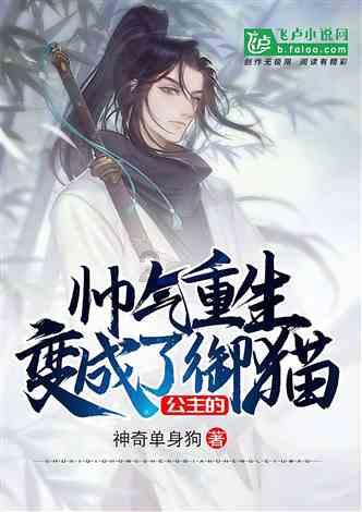 算术24点